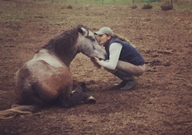 Complicité entre cavaliers et chevaux