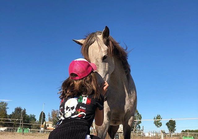 Poney et jeune cavalier