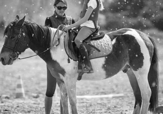 Poney et cavalière