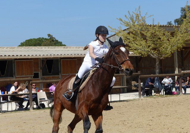Saut d’obstacles