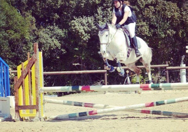 Cheval et cavalière en activité