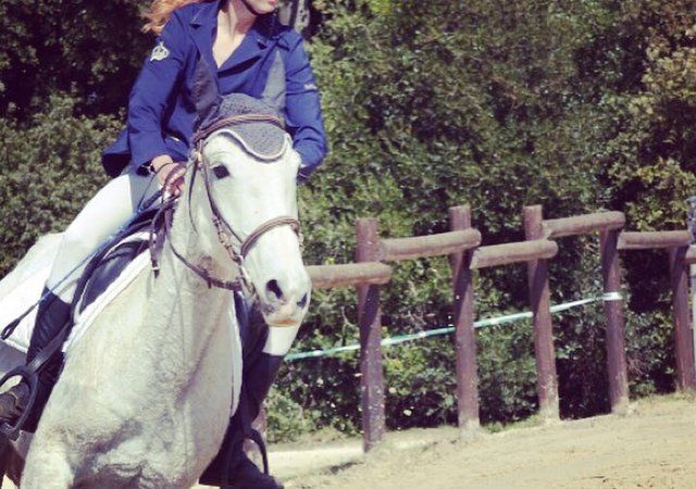 Poney et groupe de cavaliers