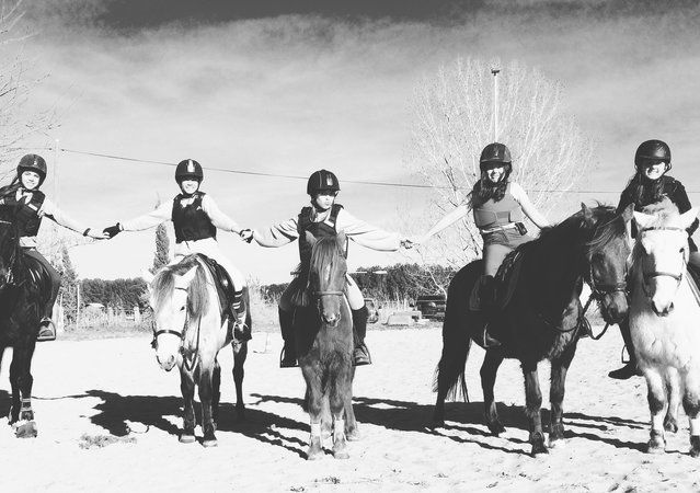 Cheval en travail