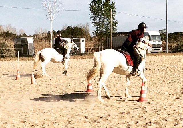 Cavalière en carrière