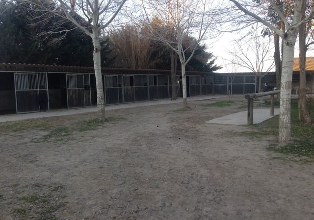 Paddocks et espaces extérieurs