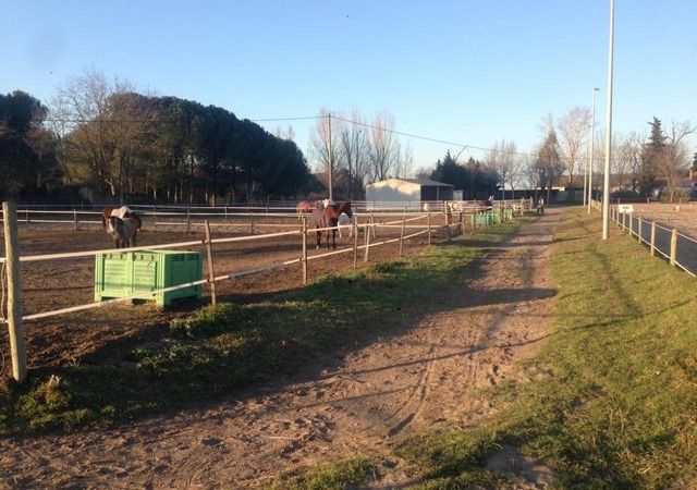 Paddocks des écuries