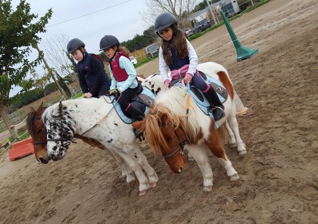 Cours collectif d’équitation
