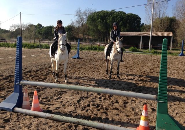 Cavaliers et poneys en activité