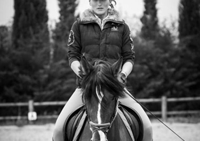 Cheval dans son paddock
