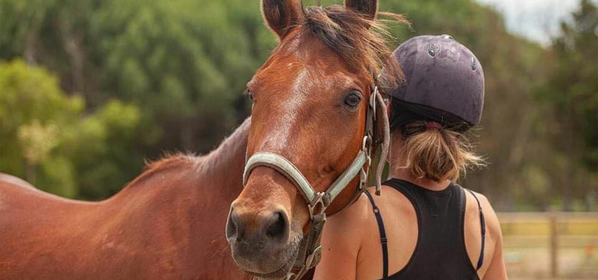Une cavalière et son cheval aux Écuries Saunier à Aigues-Mortes
